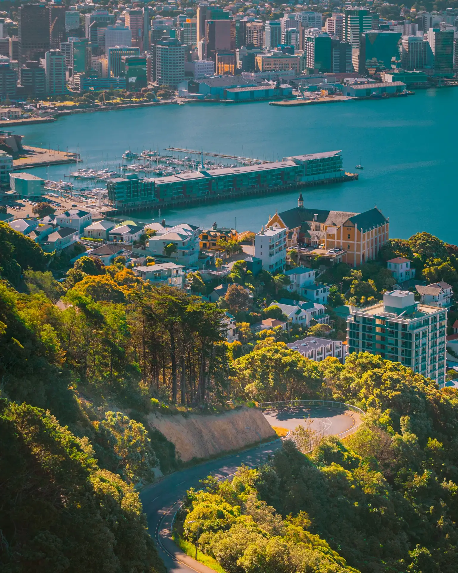 Wellington - our home region