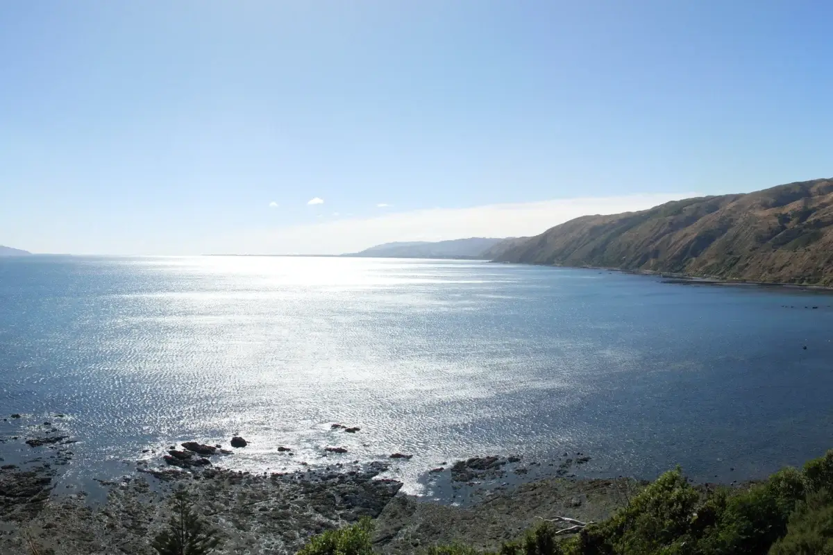 Kapiti Coast and Kapiti Island viewed from the south, representing Managed IT services for Kapiti Coast organisations